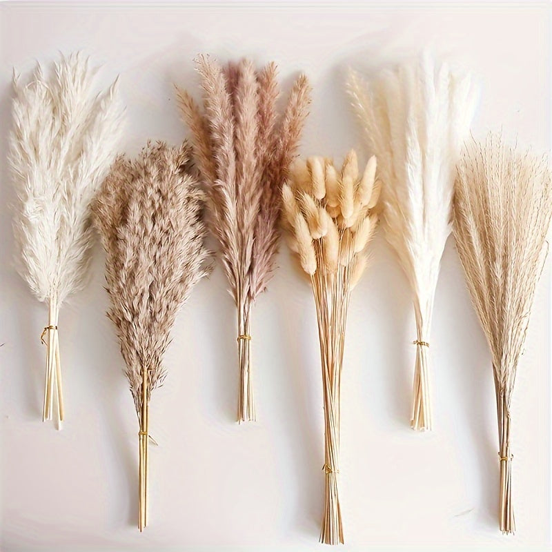 Bohemian Pampas Grass Bundle