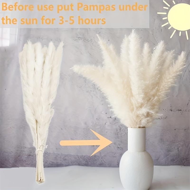 Bohemian Pampas Grass Bundle