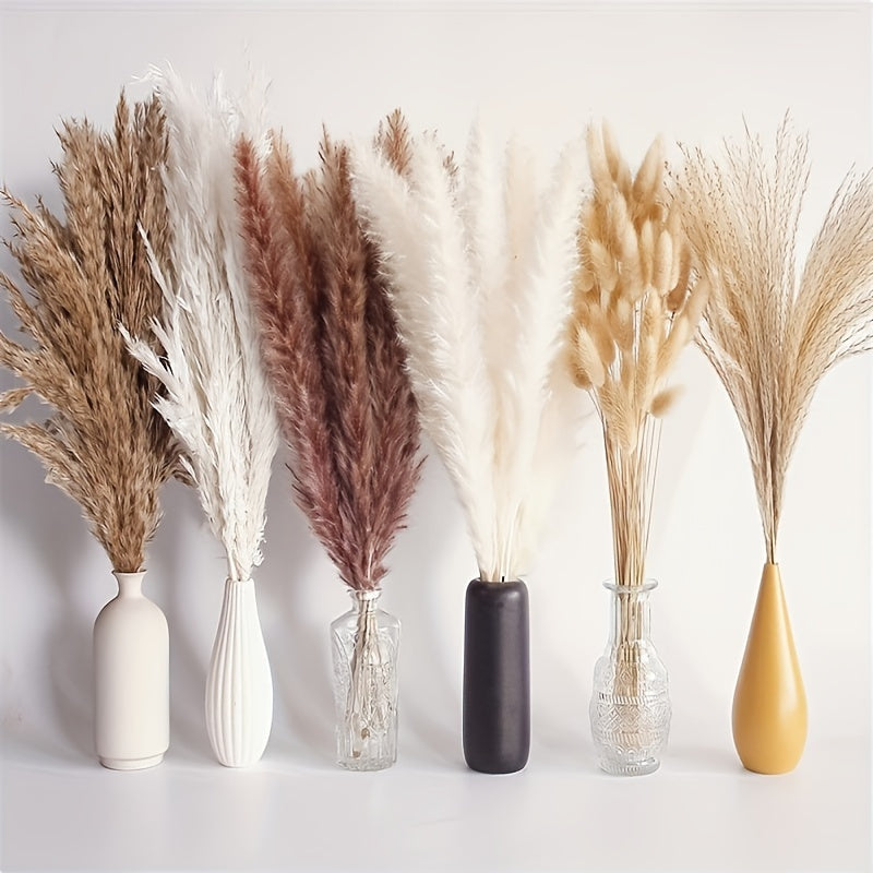 Bohemian Pampas Grass Bundle